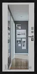 Дверь ОРБИТА 3К Z DIS006957 фото